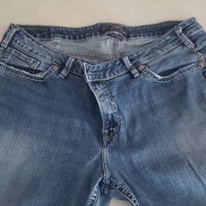 Plus Size Silver Jeans